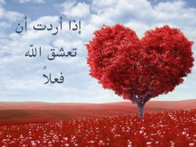 إذا أدرت أن تعشق الله فعلاً